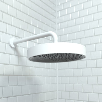 hansgrohe Rainfinity Showerhead 250 1-Jet, 2.5 GPM