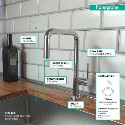 hansgrohe Talis N Kitchen Faucet, U-Style 1-Spray, 1.5 GPM