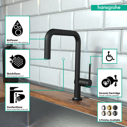 hansgrohe Talis N Kitchen Faucet, U-Style 1-Spray, 1.5 GPM
