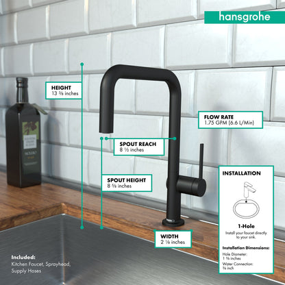 hansgrohe Talis N Kitchen Faucet, U-Style 1-Spray, 1.5 GPM