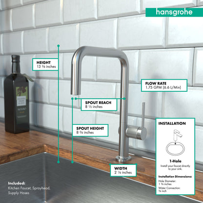 hansgrohe Talis N Kitchen Faucet, U-Style 1-Spray, 1.5 GPM