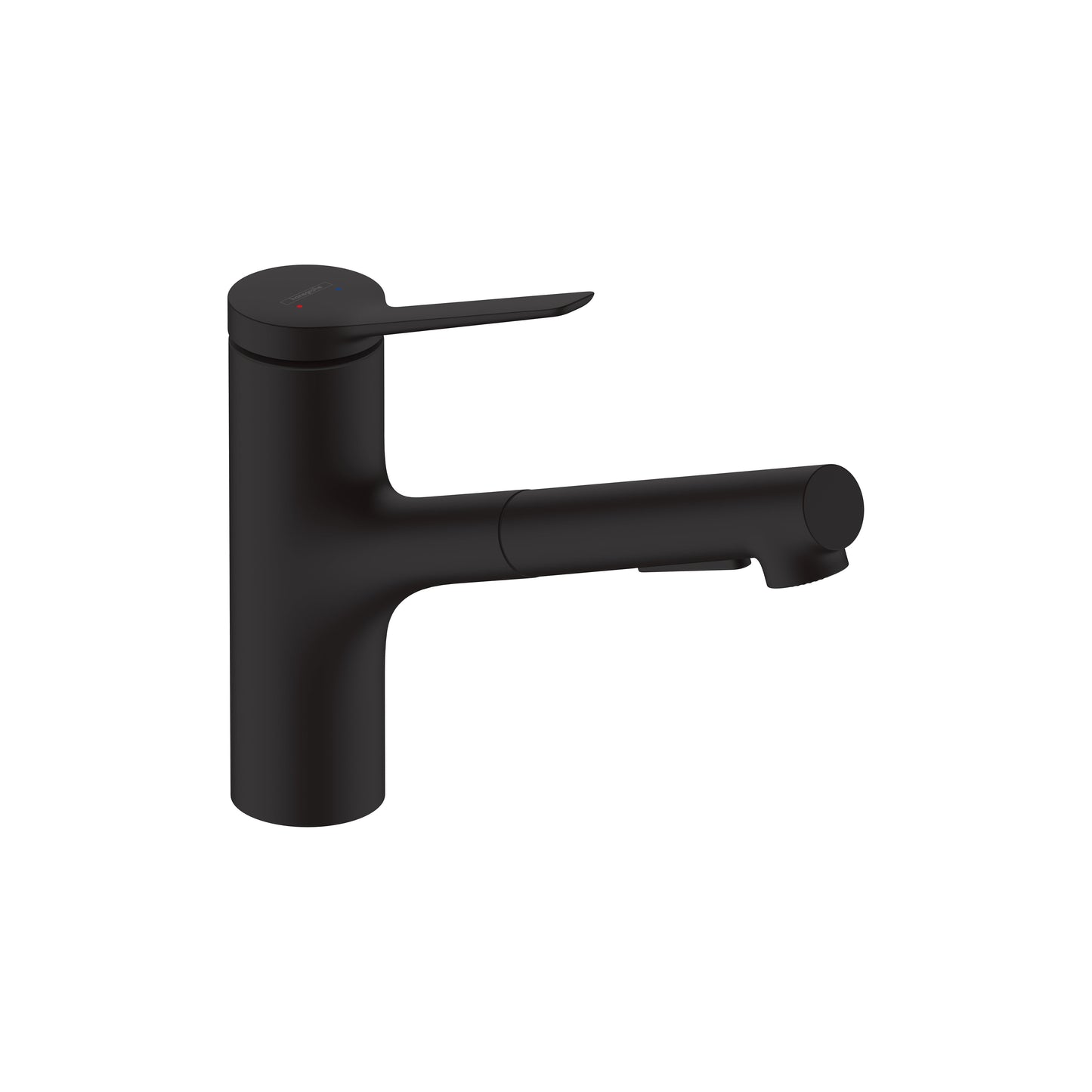 hansgrohe Zesis Kitchen Faucet 2-Spray, Pull-Out, 1.5 GPM