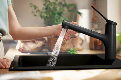 hansgrohe Zesis Kitchen Faucet 2-Spray, Pull-Out, 1.5 GPM