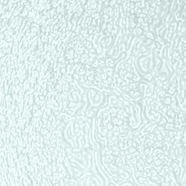 KOHLER K-1194849-G2 Glass Sample (Dew)