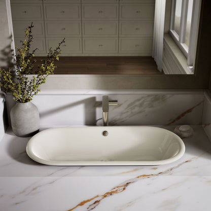 KOHLER K-20213-P5 Iron Plains 33" oval drop-in/undermount/vessel bathroom sink with Iron Black painted underside