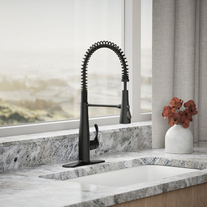 KOHLER K-22033 Simplice Semi-professional kitchen sink faucet with three-function sprayhead