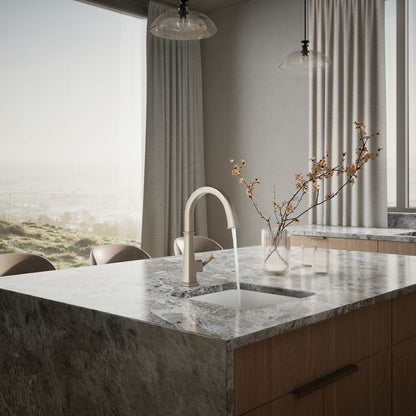 KOHLER K-23833 Riff Single-handle bar sink faucet