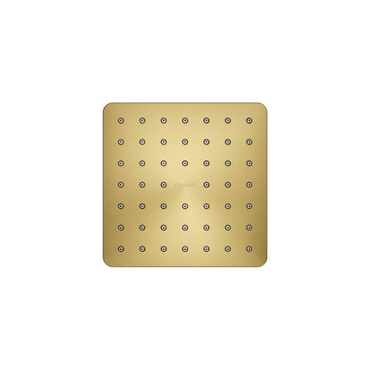 KOHLER K-24805-JJ Parallel Single-function showerhead, 1.25 gpm, vibrant brushed moderne brass - view 2