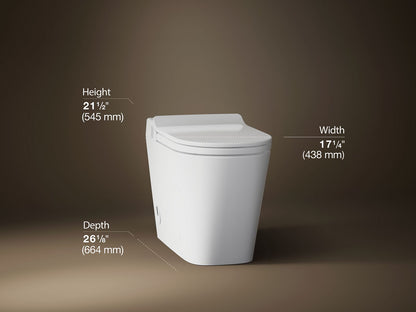 KOHLER K-32847 Leap Lite One-piece elongated toilet, dual-flush