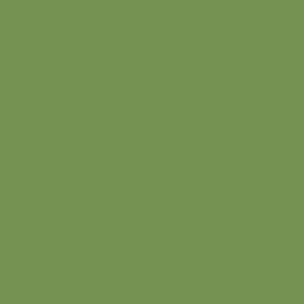 KOHLER K-36437 Enameled Cast Iron 1" x 2" Samples, fresh green - view 2