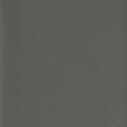 KOHLER K-36437 Enameled Cast Iron 1" x 2" Samples, thunder grey - view 2