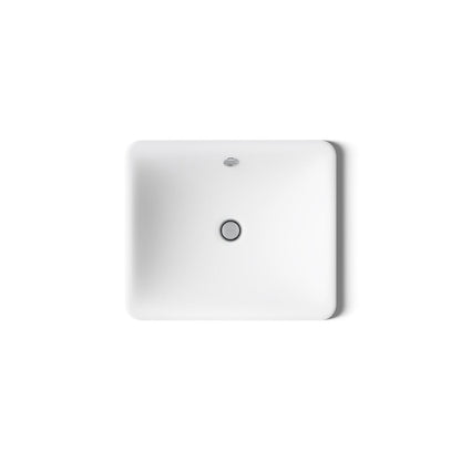 KOHLER K-5400 Iron Plains 18-1/2" rectangular drop-in/undermount bathroom sink