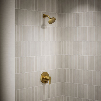 image focused on single product story