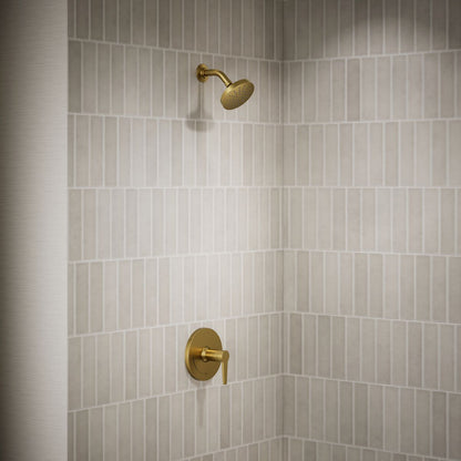 image focused on single product story