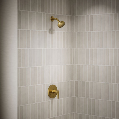 image focused on single product story