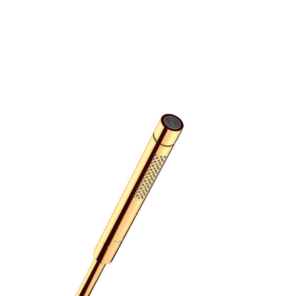AXOR Starck Baton Handshower 2-Jet, 1.75 GPM