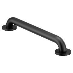 Moen  18" Concealed Screw Grab Bar