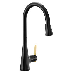 Moen  One-Handle Pulldown Kitchen Faucet