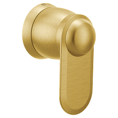Moen  Volume Control
