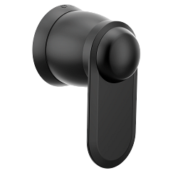 Moen  Volume Control
