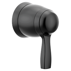 Moen  Volume Control