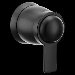 Moen  Volume Control