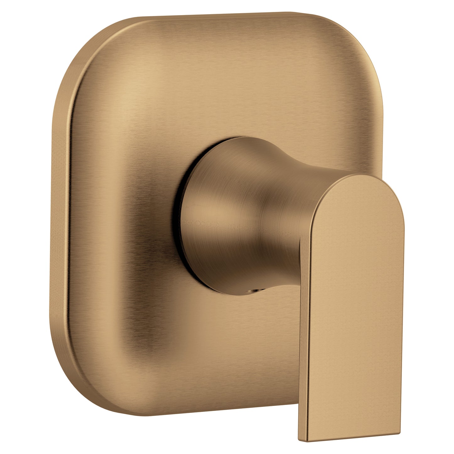 Moen Genta LX UT2401 M-CORE transfer vertical spa