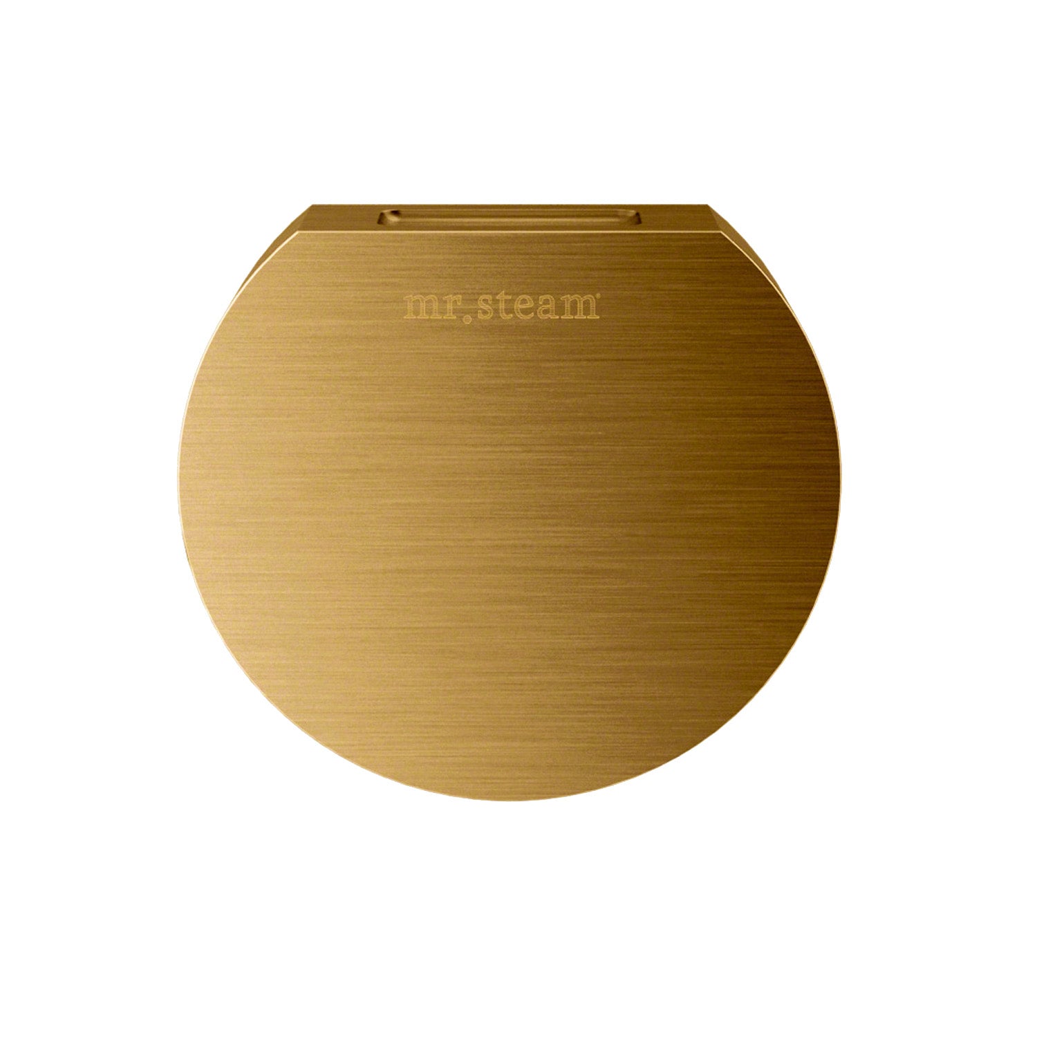 Mr. Steam 103937RAW Round Steamhead Unfinished Brass