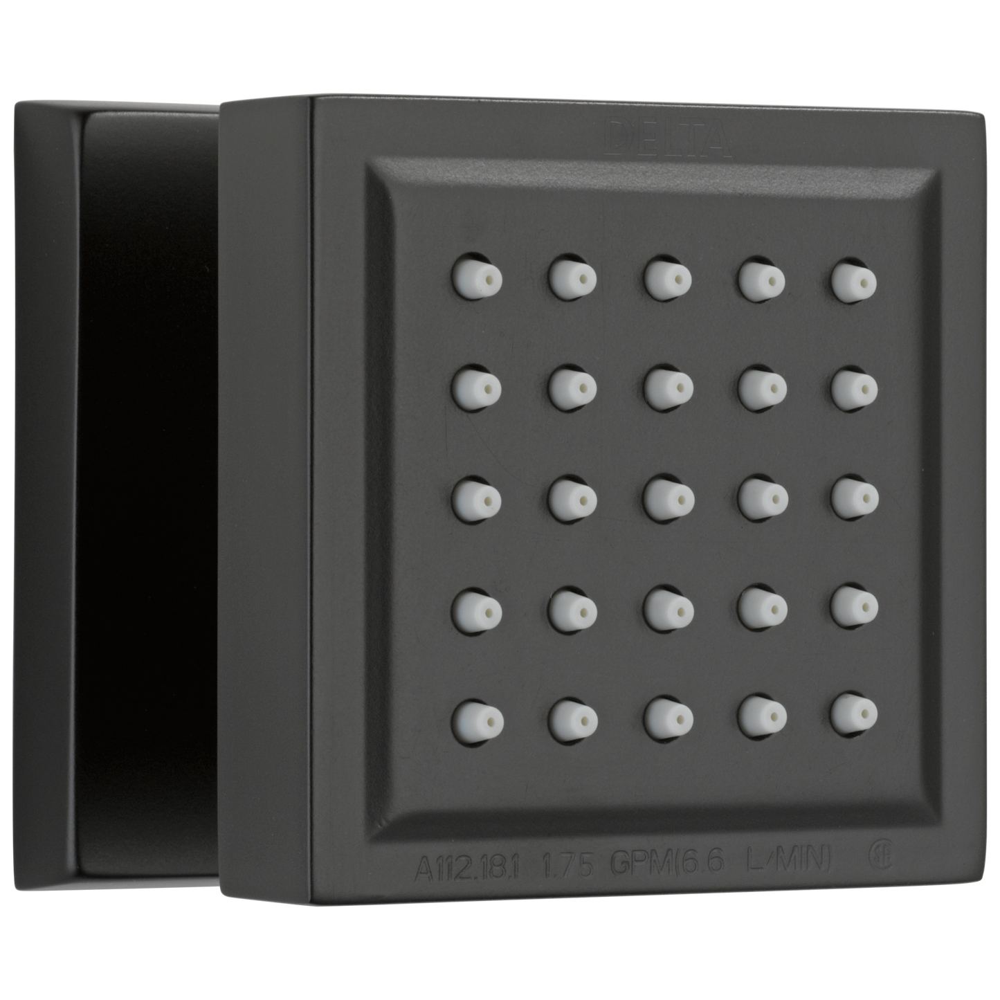 Delta : Surface Mount Body Spray