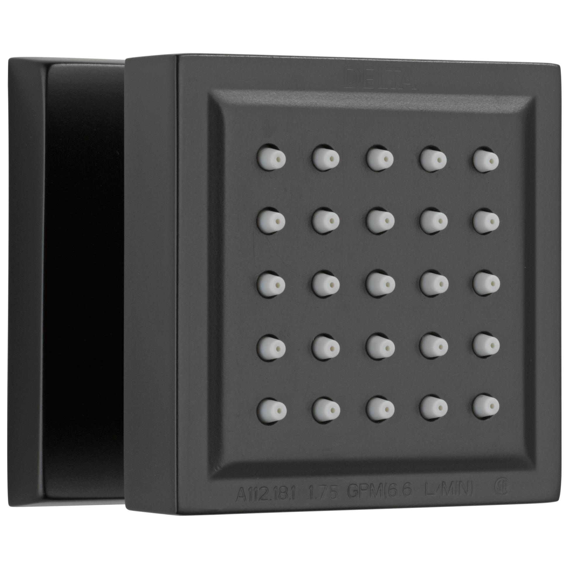 Delta : Surface Mount Body Spray