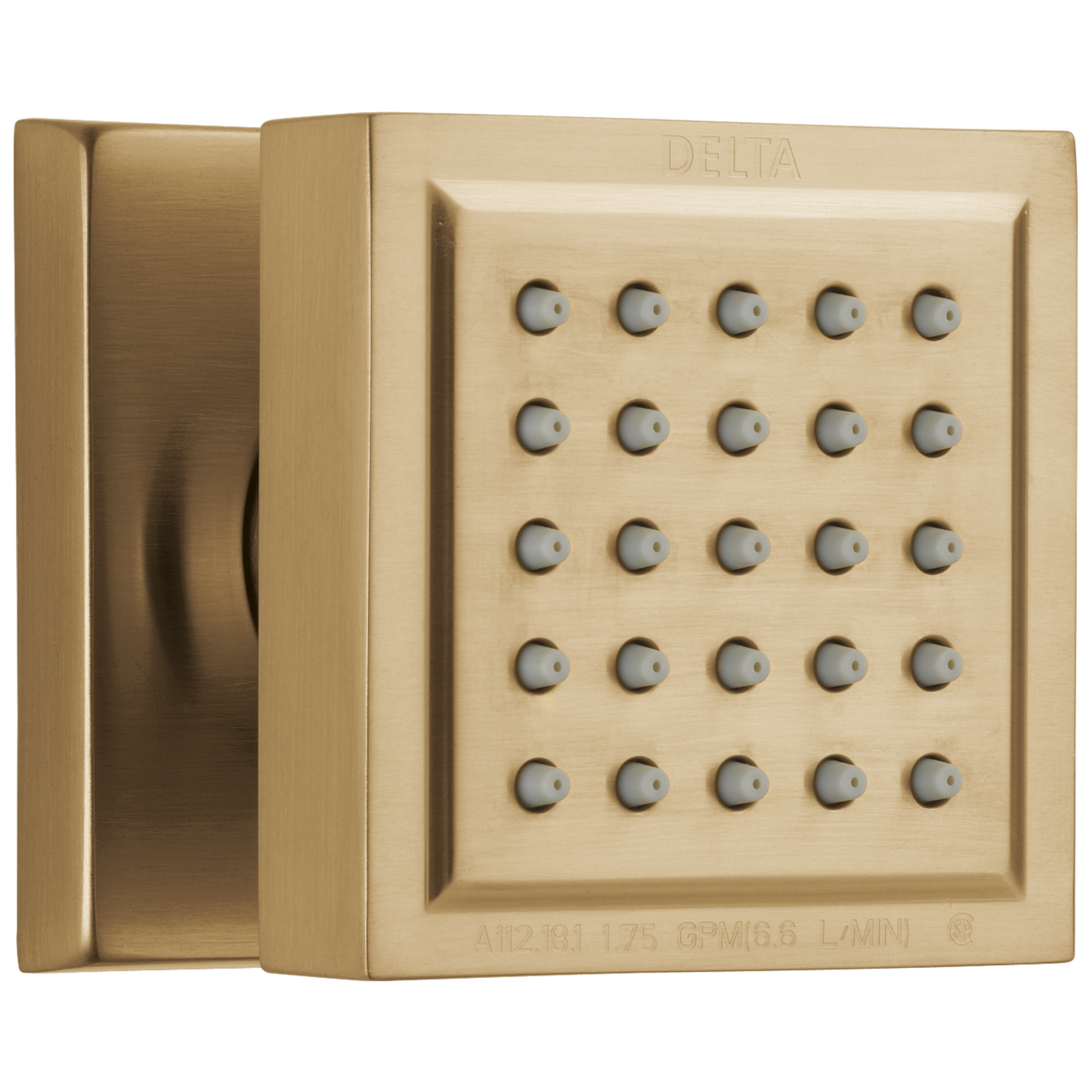 Delta : Surface Mount Body Spray