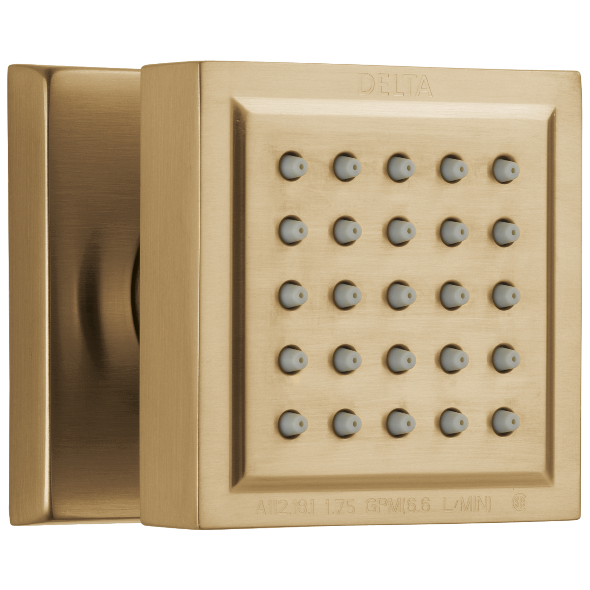 Delta : Surface Mount Body Spray