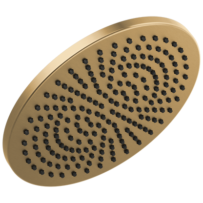 Delta 52158-25 Single-Setting Metal Raincan Shower Head