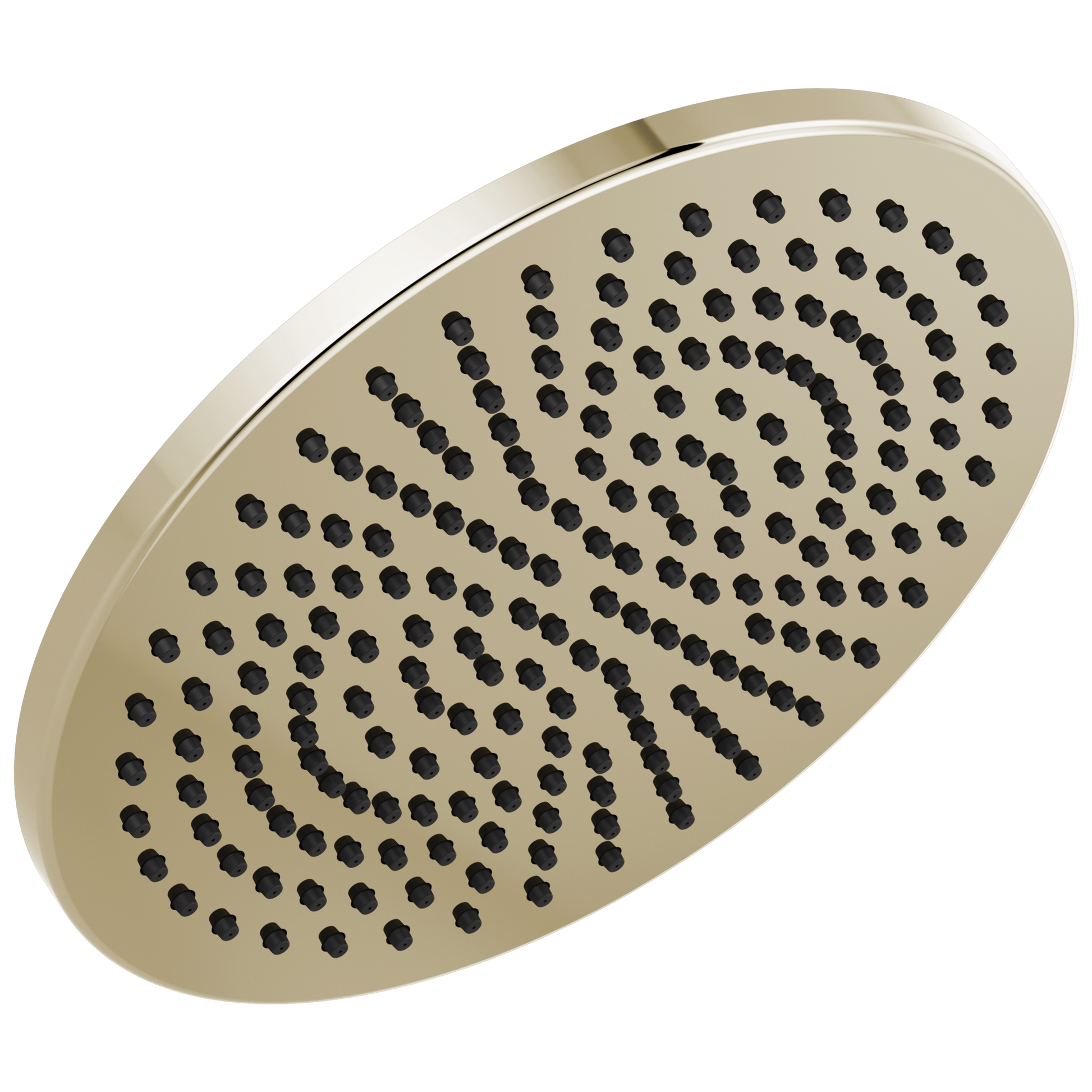 Delta 52158-25 Single-Setting Metal Raincan Shower Head