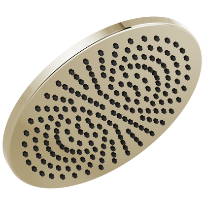 Delta 52158-25 Single-Setting Metal Raincan Shower Head