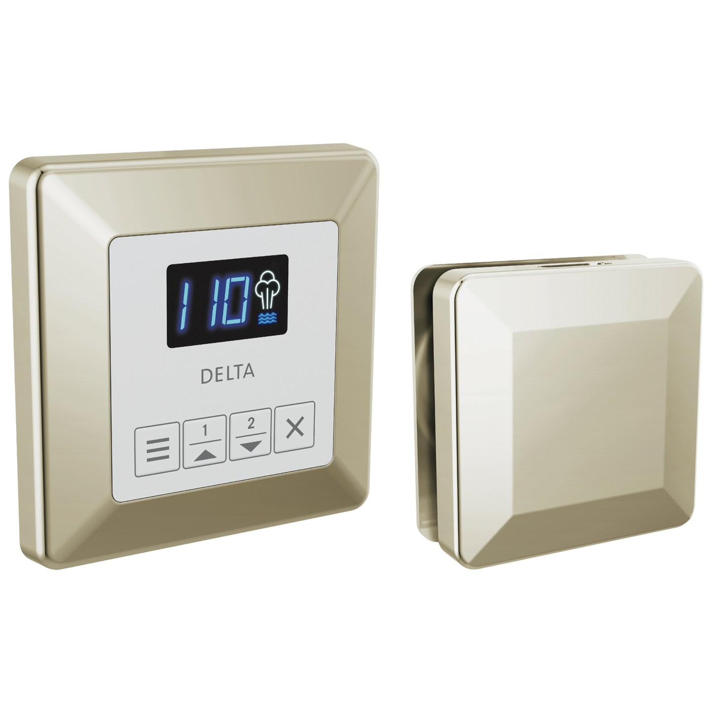 Delta Universal Showering Components: Square Steam Package