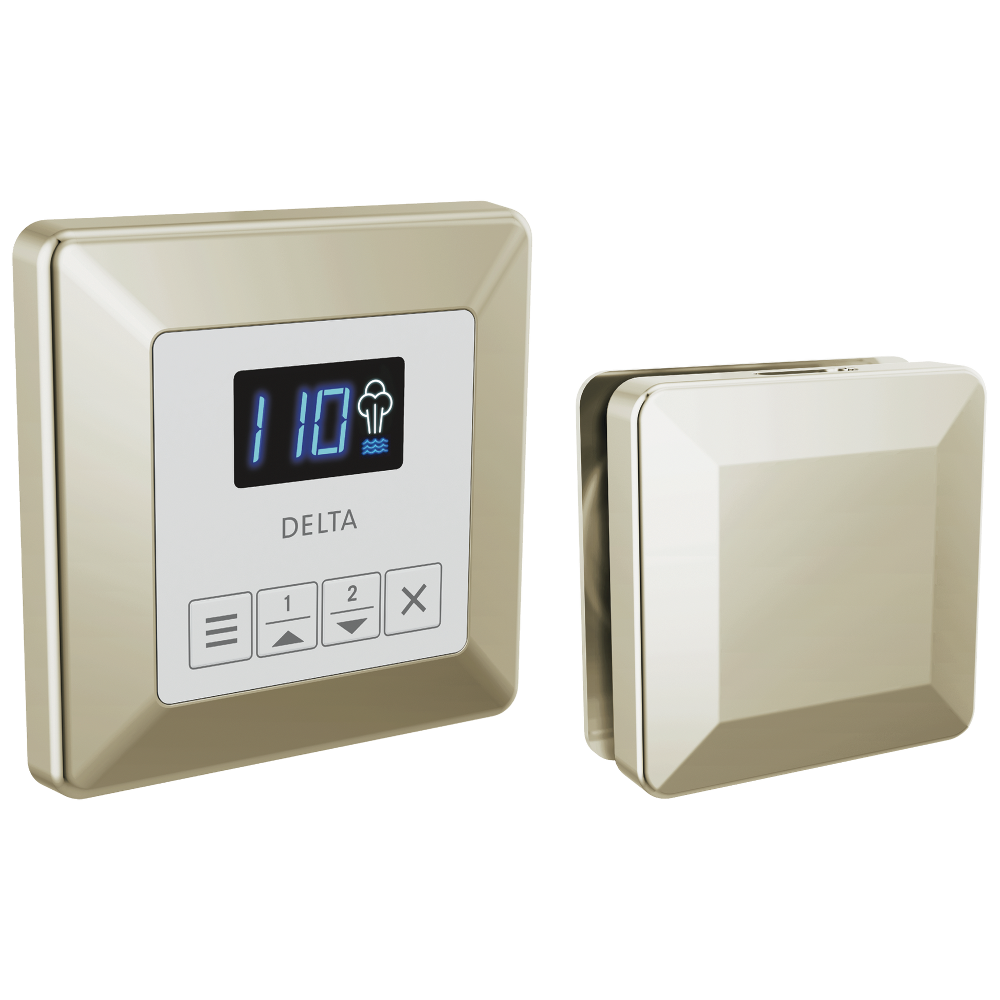 Delta Universal Showering Components: Square Steam Package