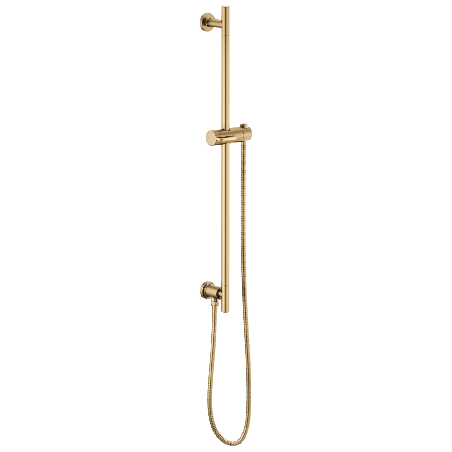 Brizo Universal Showering: Linear Round Slide Bar With Hose