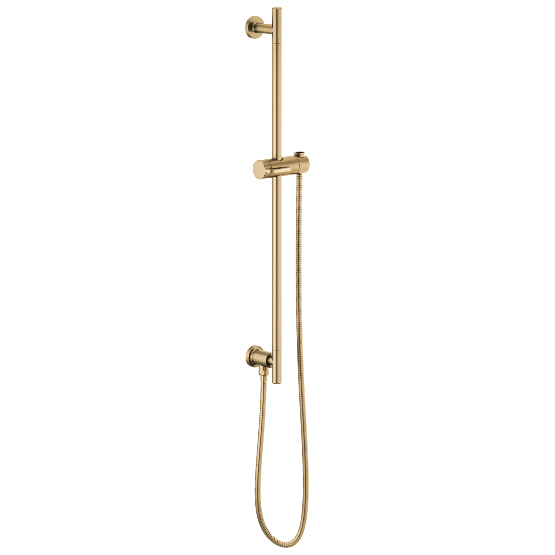 Brizo Universal Showering: Linear Round Slide Bar With Hose