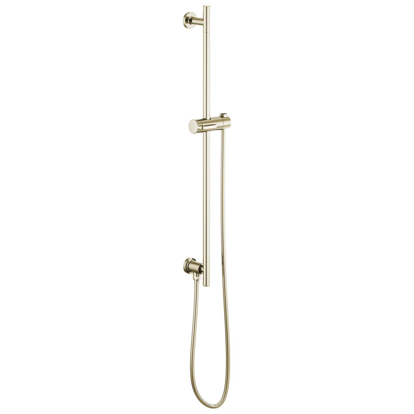 Brizo Universal Showering: Linear Round Slide Bar With Hose