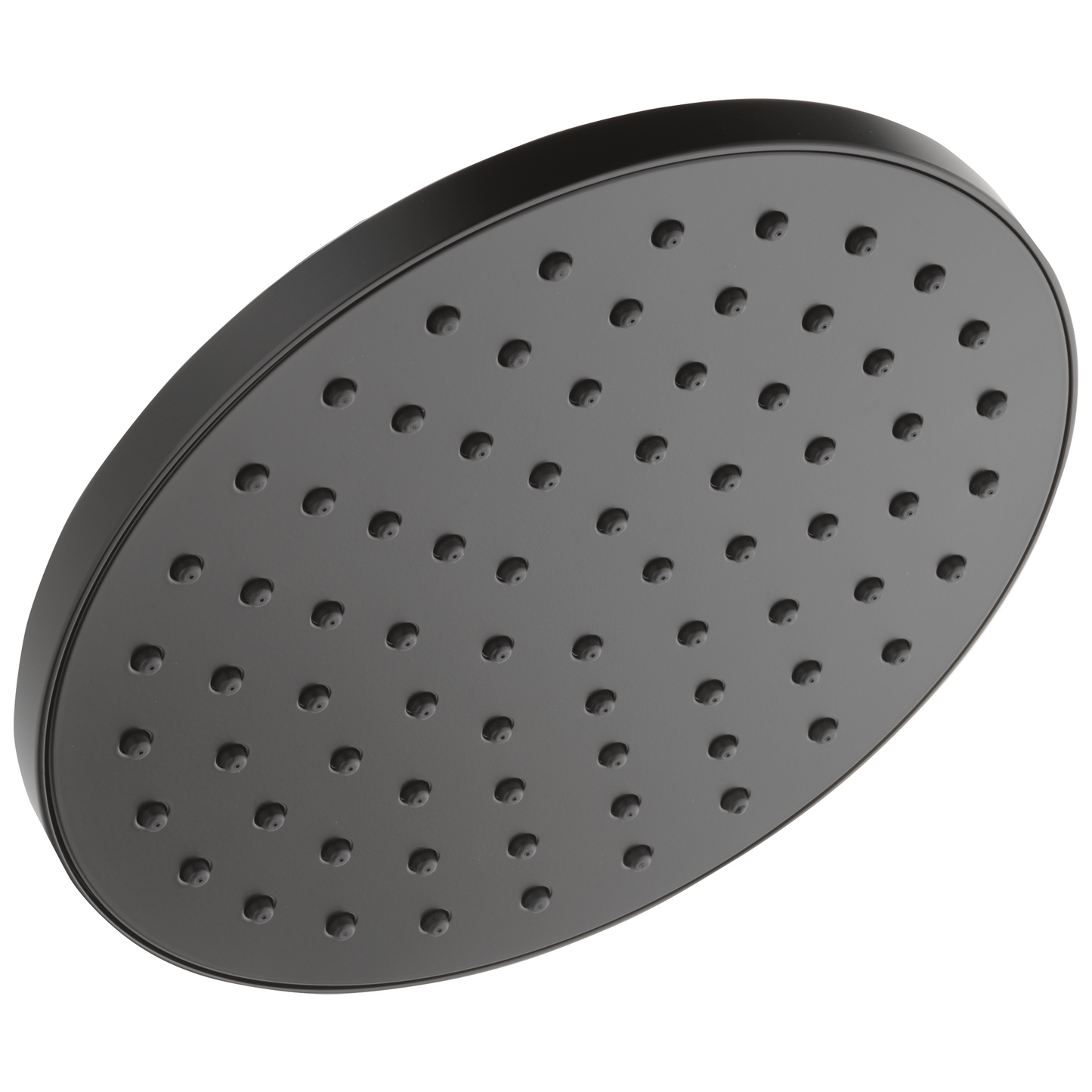 Peerless Universal Showering Components: 1-Setting Shower Head