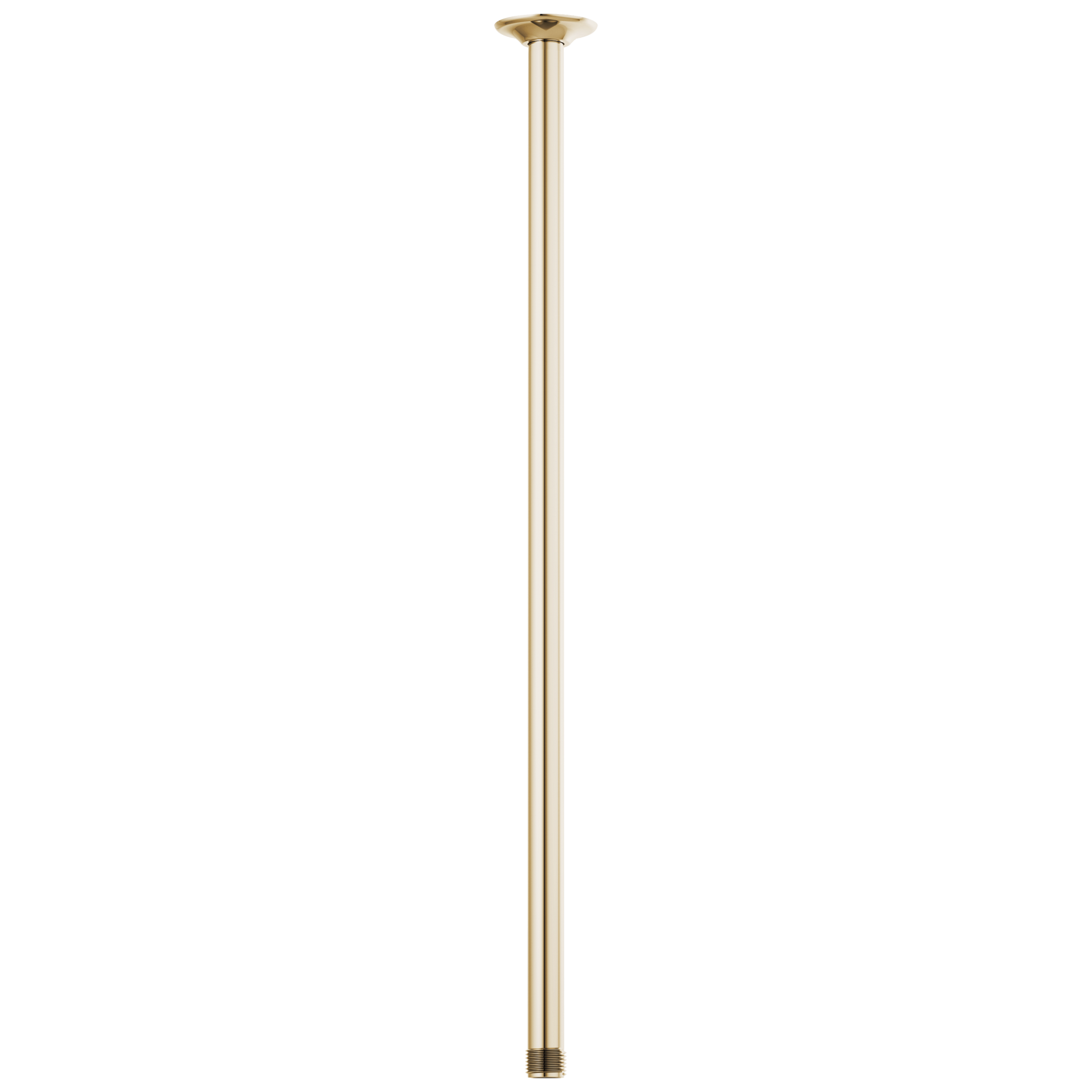 Brizo Universal Showering: 24" Ceiling Mount Shower Arm And Round Flange