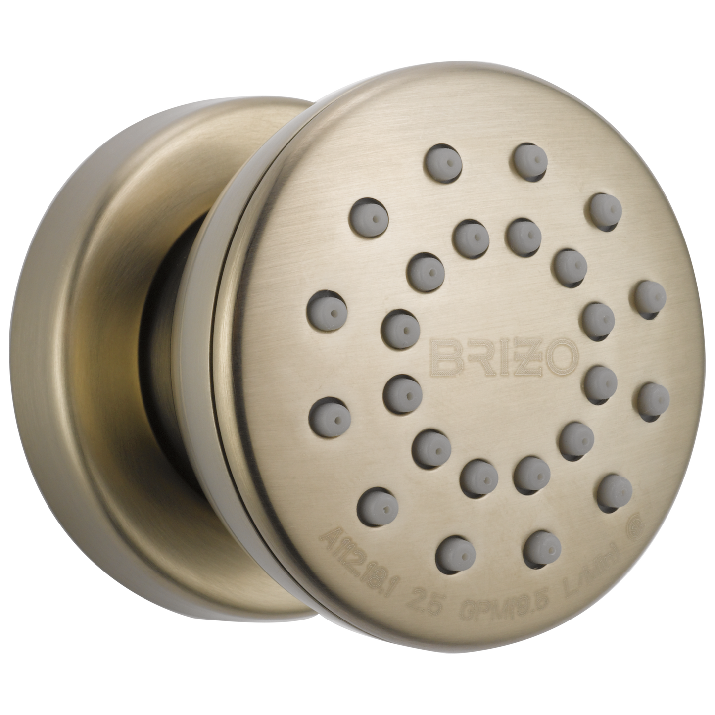 Brizo Universal Showering: Touch-Clean Round Body Spray