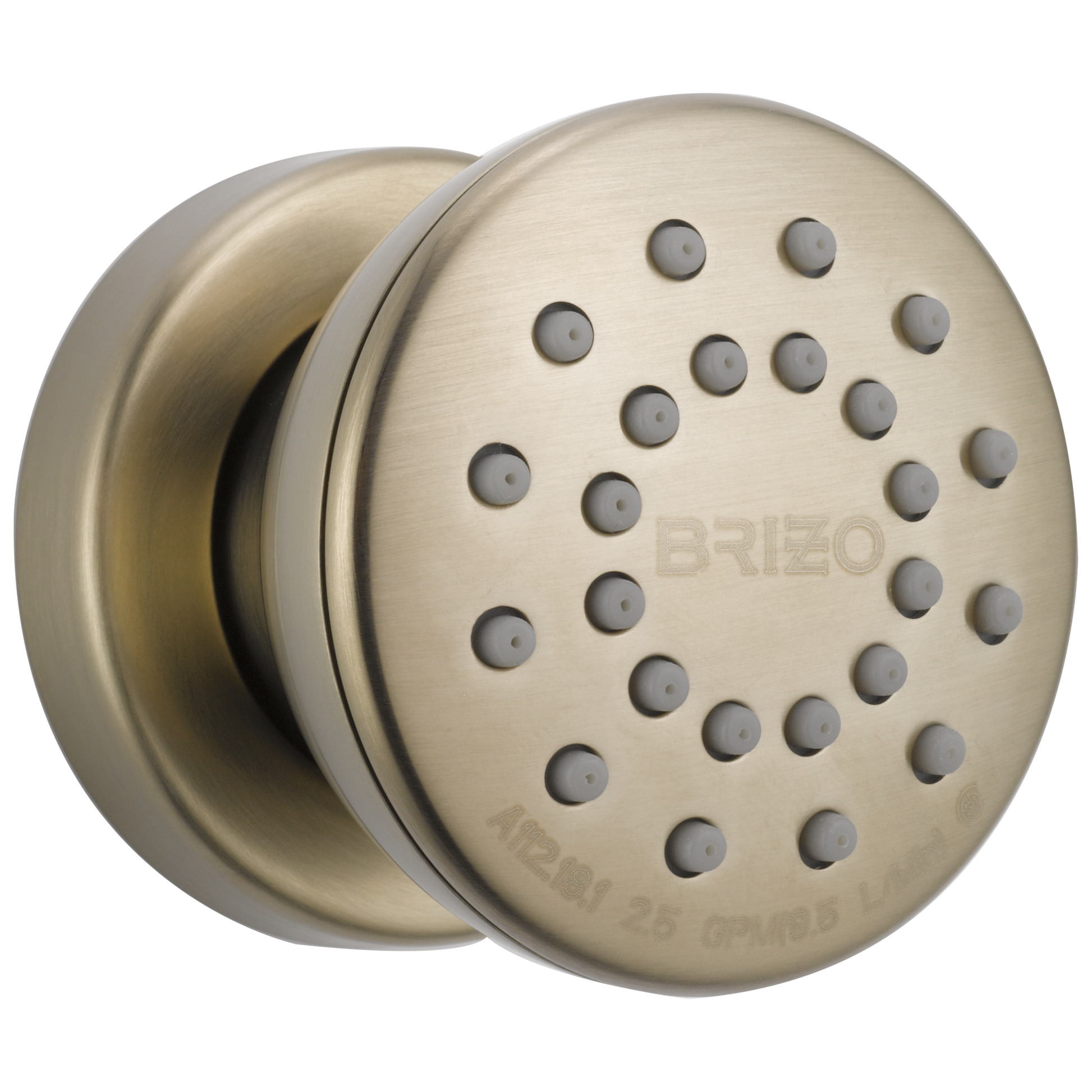 Brizo Universal Showering: Touch-Clean Round Body Spray