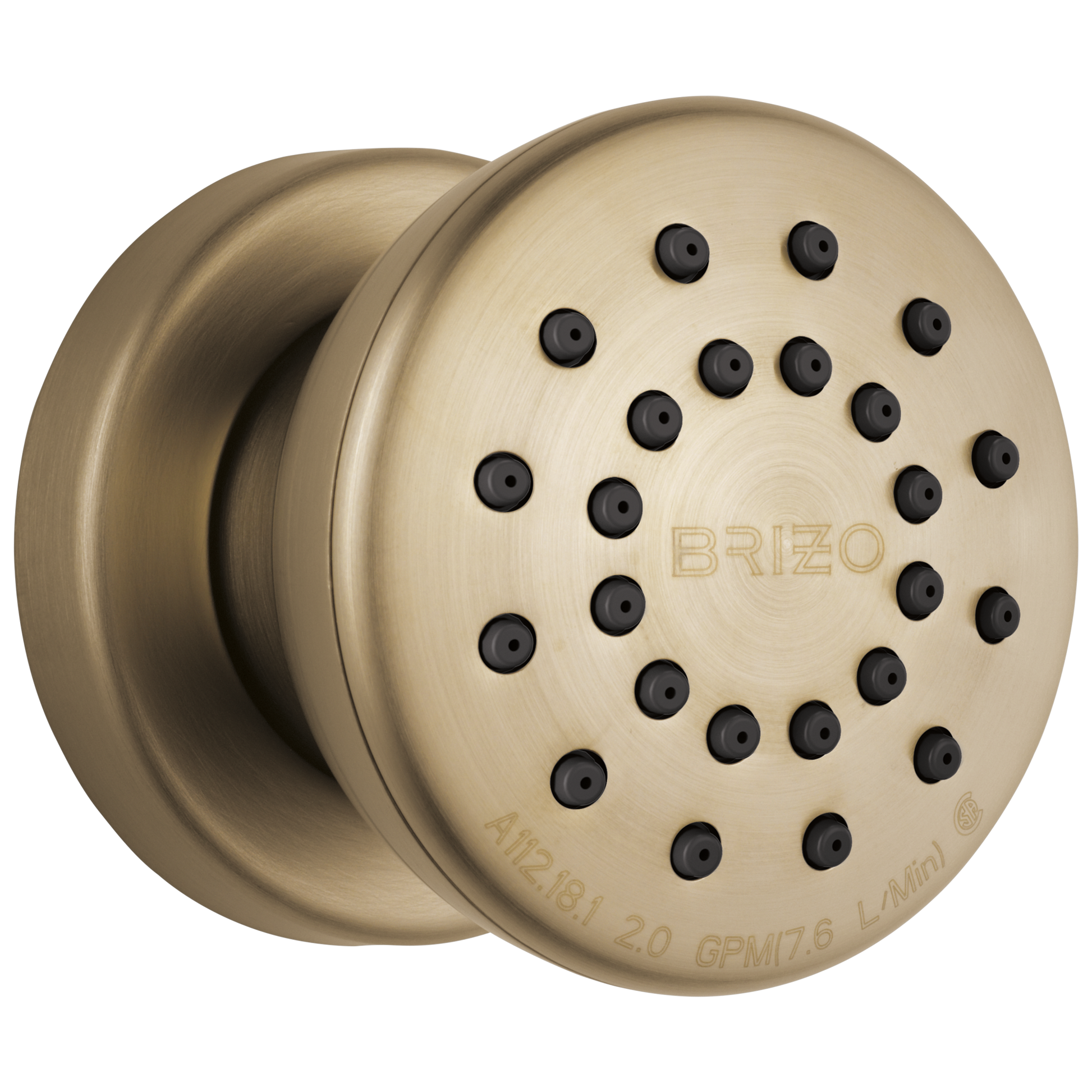 Brizo Universal Showering: Touch-Clean Round Body Spray