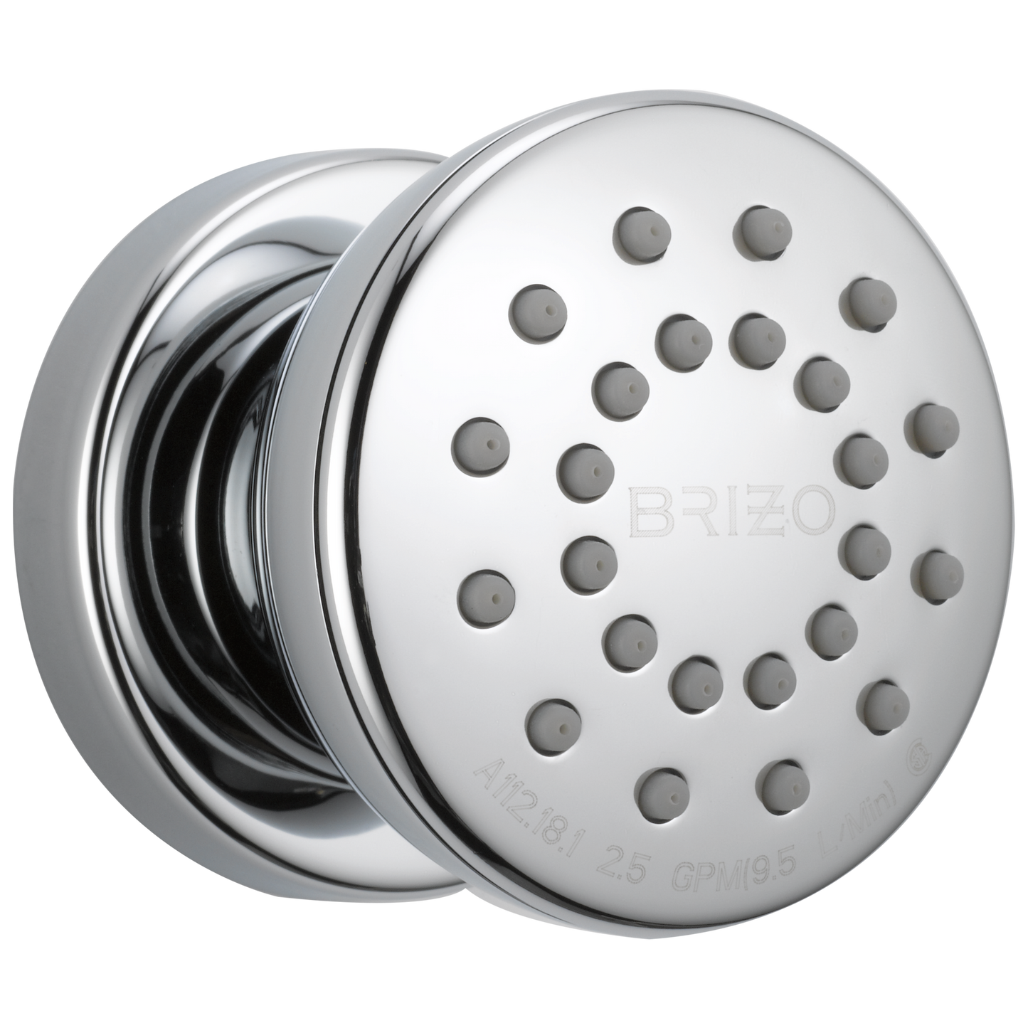 Brizo Universal Showering: Touch-Clean Round Body Spray
