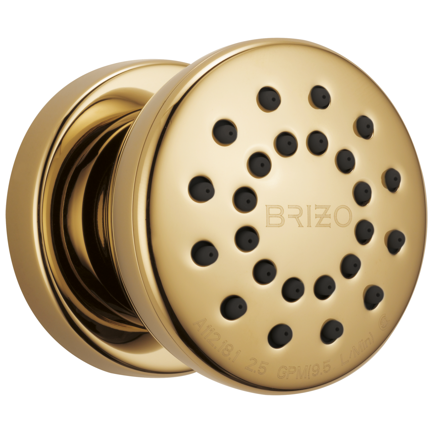 Brizo Universal Showering: Touch-Clean Round Body Spray