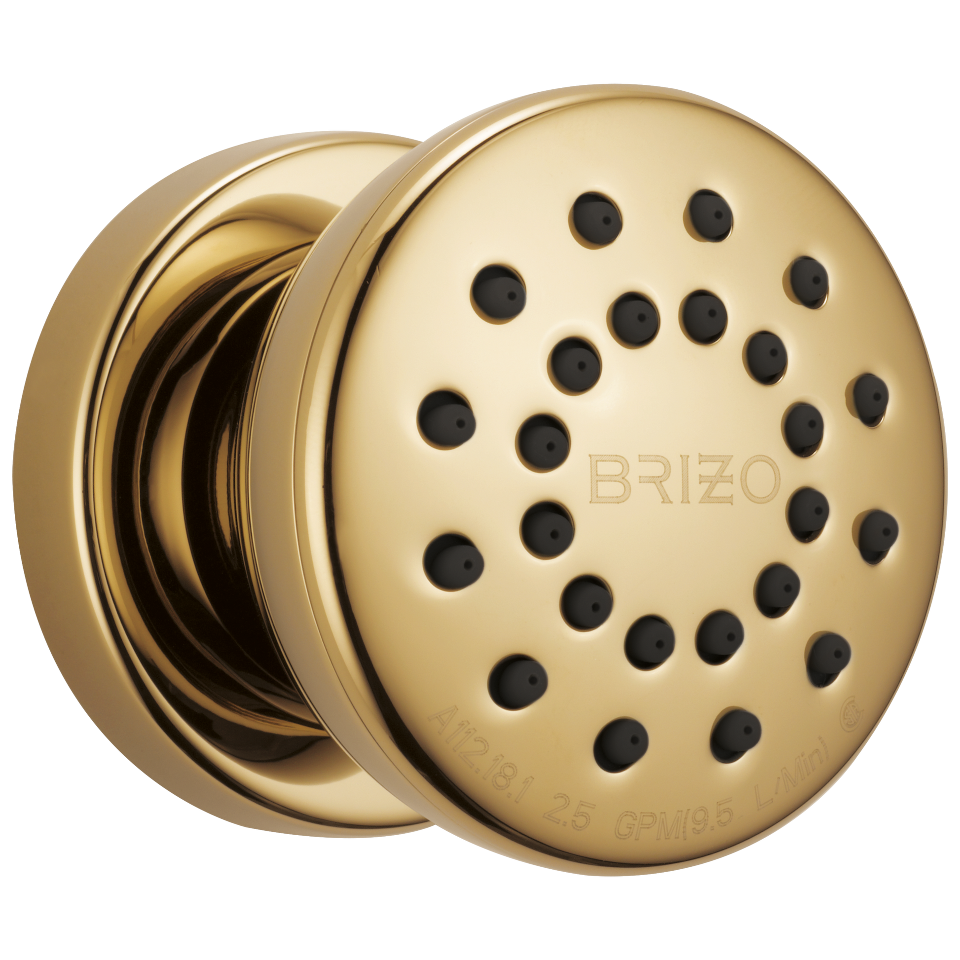 Brizo Universal Showering: Touch-Clean Round Body Spray