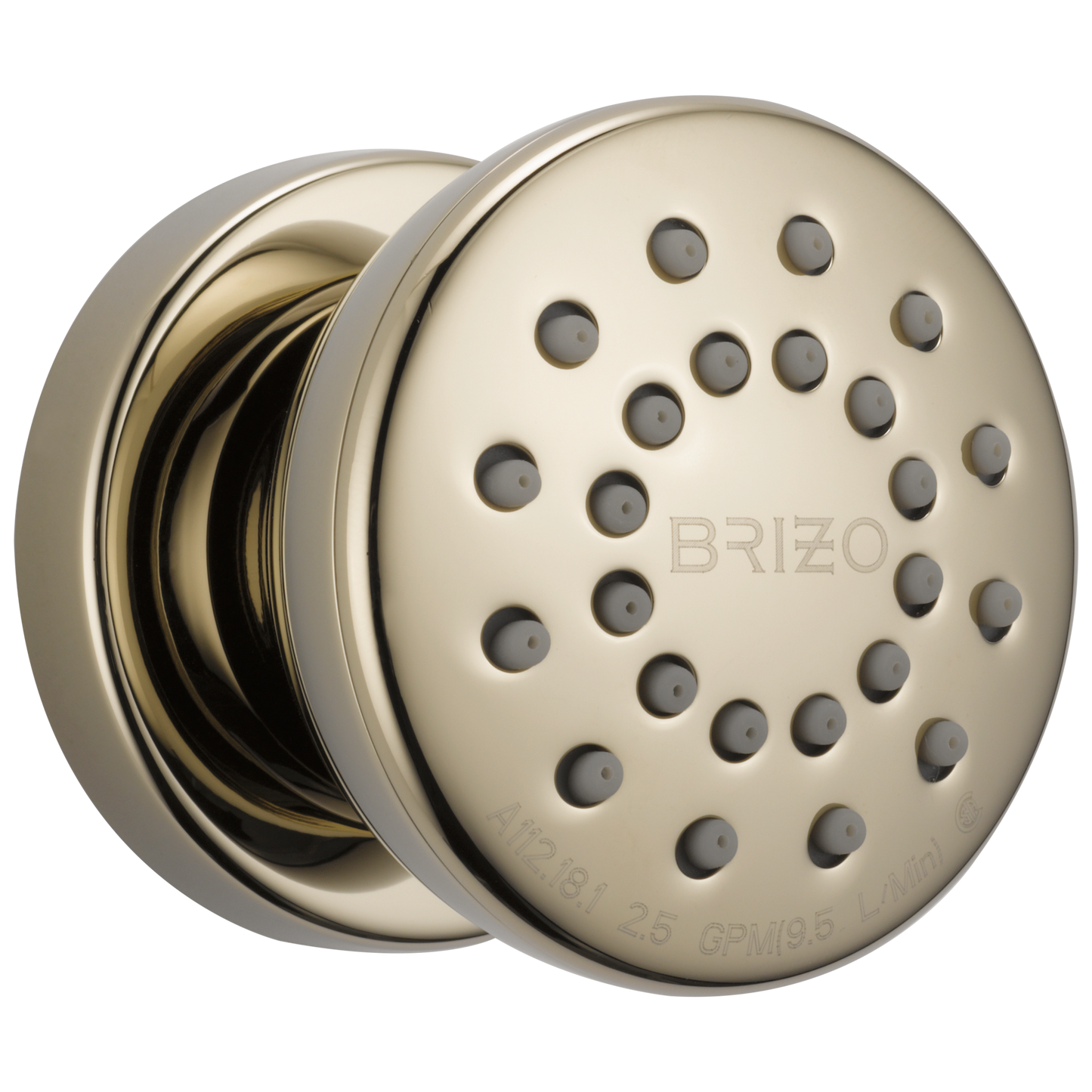 Brizo Universal Showering: Touch-Clean Round Body Spray