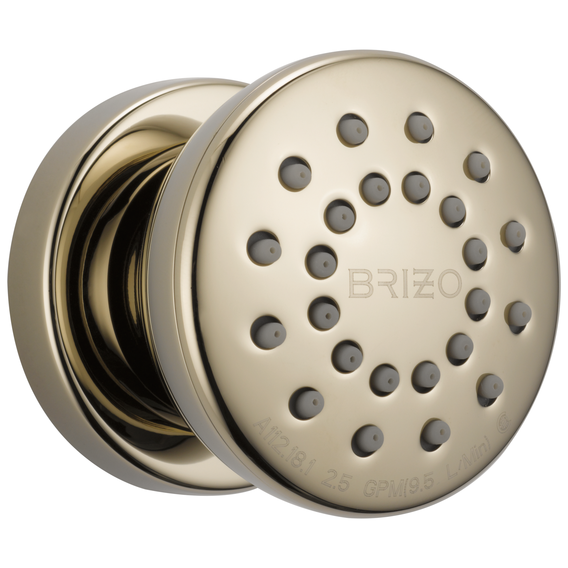 Brizo Universal Showering: Touch-Clean Round Body Spray